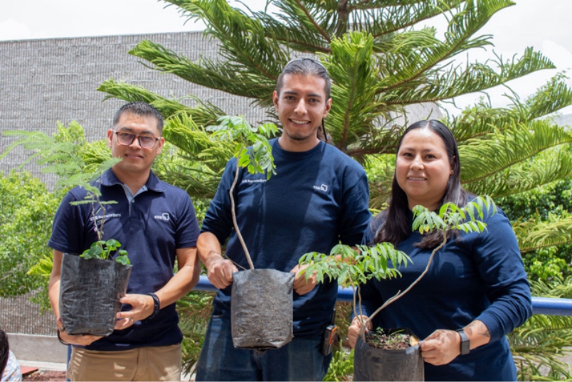 Teammitglieder von KSB Mexiko pflanzen Bäume. 